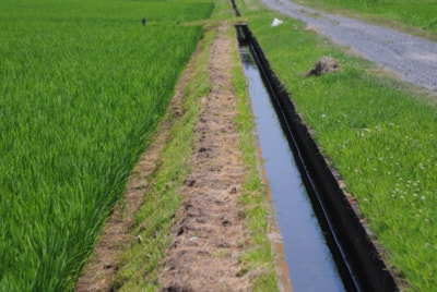 畦畔管理(あぜかんり)