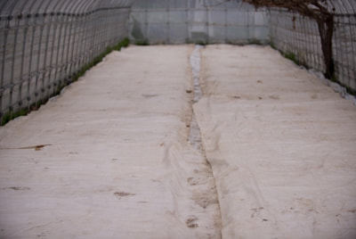 催芽/種の温度管理