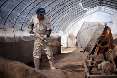 育苗培土/苗用の土つくり